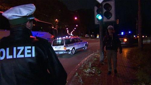 Toto & Harry Season 2 Episode 25 - Episode 25