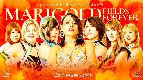 Dream Star★Fighting Marigold Season 1 Episode 1 - Marigold Fields Forever