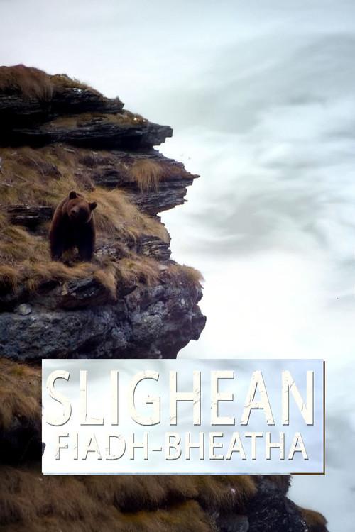 Wild Corridors poster