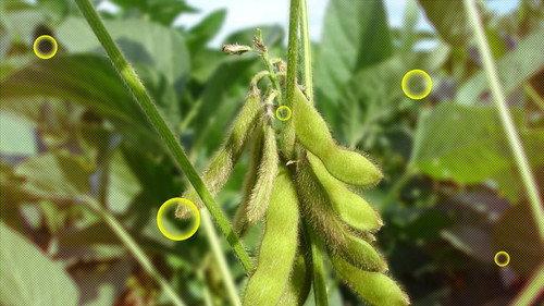 Zembla Season 27 Episode 23 - Bord vol ontbossing