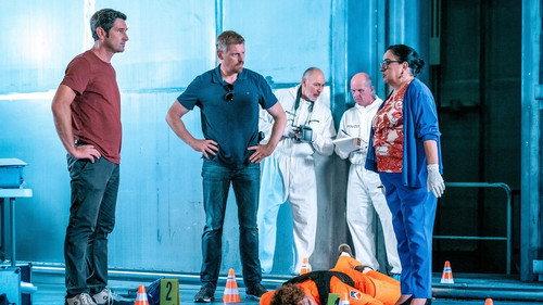 Vienna Crime Squad Season 19 Episode 9 - Episode 9