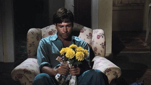 The Waltons Season 4 Episode 12 - The Estrangement