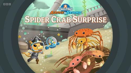 Octonauts: Above & Beyond Season 4 Episode 24 - Spider Crab Surprise