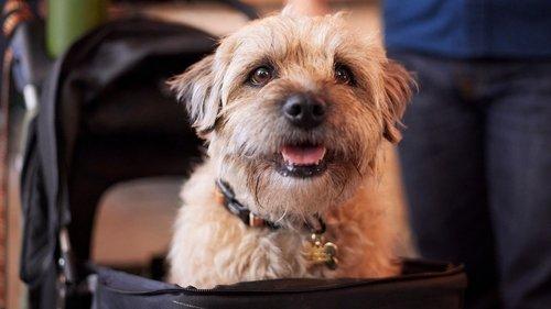 Colin from Accounts Season 2 Episode 7 - Wawam