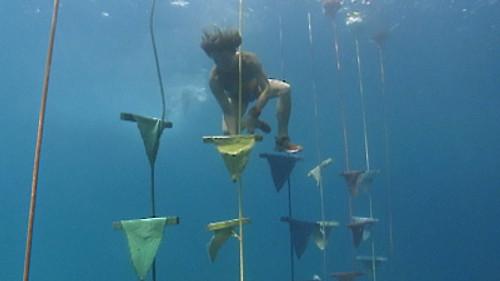 Survivor Season 9 Episode 12 - Now Who's in Charge Here?!