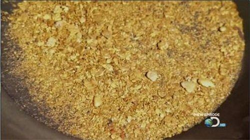 Gold Rush Season 1 Episode 2 - Gold, Guns, and Bears