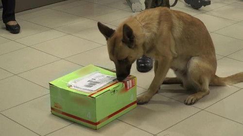 To Catch a Smuggler Season 3 Episode 2 - Friends with Secrets