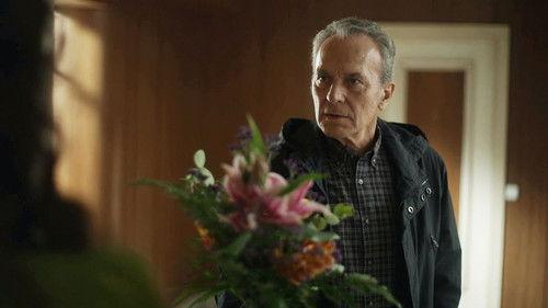 undefined Season 3 Episode 4 - Episode 4