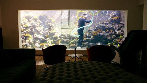 Amazing Interiors Season 1 Episode 1 - Chicago Cubs Cave, Aquarium House, The Love Boat