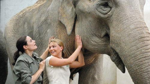 Tierärztin Dr. Mertens Season 1 Episode 7 - Episode 7