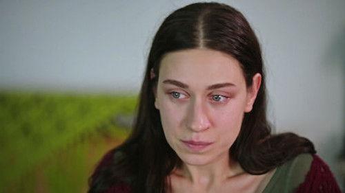 Intersection Season 2 Episode 4 - Episode 4