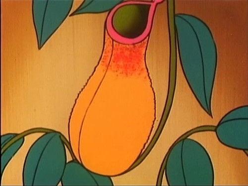 Hurricane Polymar Season 1 Episode 8 - Acid Machine: The Pitcher Plant