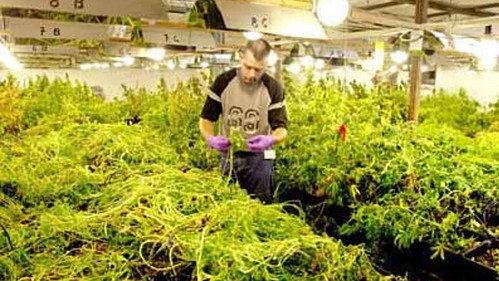 Zembla Season 11 Episode 20 - Nederland narcostaat