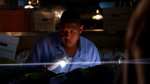 CSI: Miami Season 8 Episode 17 - Getting Axed