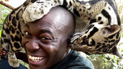 Big Cats: An Amazing Animal Family Season 1 Episode 1 - Birth of a Family