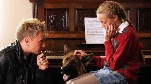 Komisarz Alex Season 1 Episode 8 - Episode 8