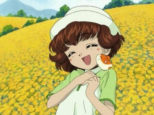 Hamtaro Season 1 Episode 8 - The Sunflower Field