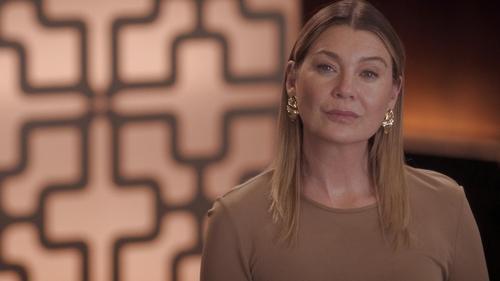 Grey's Anatomy Season 19 Episode 20 - Happily Ever After?