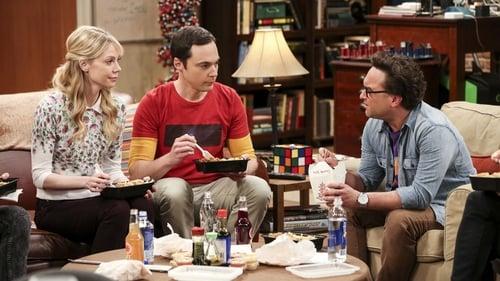 The Big Bang Theory Season 10 Episode 24 - The Long Distance Dissonance