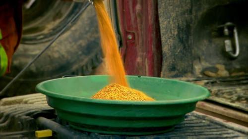 Gold Rush Season 6 Episode 21 - Gold Hard Truth