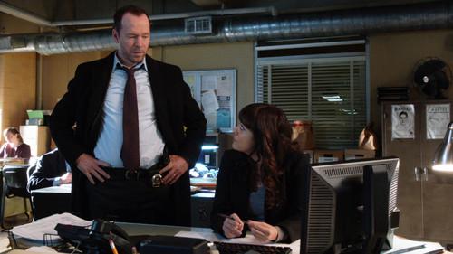 Blue Bloods Season 5 Episode 13 - Love Stories