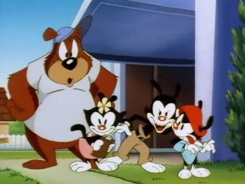 Animaniacs Season 1 Episode 25 - Garage Sale of the Century