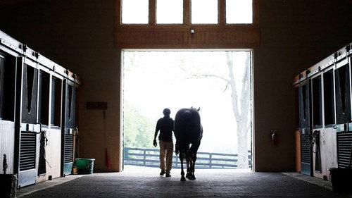 The New York Times Presents Season 3 Episode 2 - Broken Horses