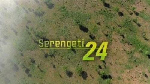 Natural World Season 23 Episode 11 - Serengeti 24