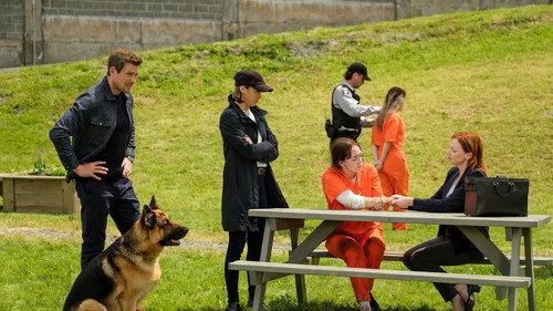 Hudson & Rex Season 5 Episode 7 - The Date Escape