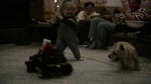 Funniest Pets & People Season 2 Episode 11 - Mishaps