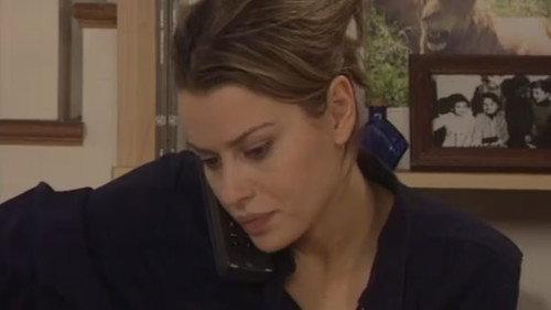 A doctor in the family Season 2 Episode 8 - The odalisque / Will our heroes succeed?