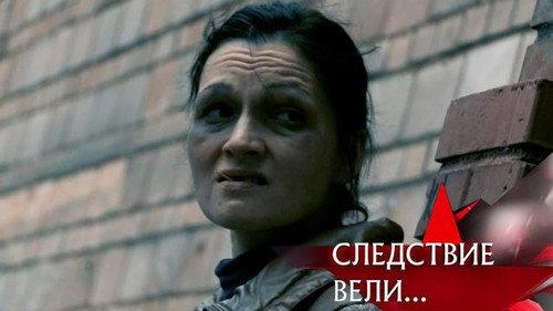 The investigation was conducted Season 17 Episode 15 - Episode 15