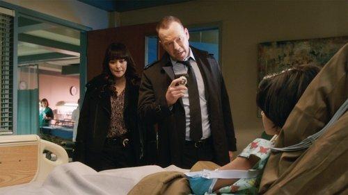 Blue Bloods Season 7 Episode 13 - The One That Got Away