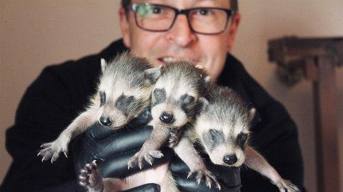 Louis and the Urban Jungle Season 3 Episode 6 - Episode 6