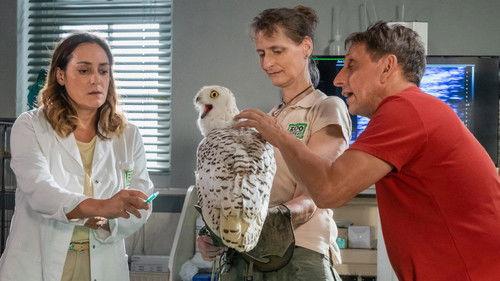 Tierärztin Dr. Mertens Season 8 Episode 8 - Episode 8