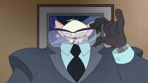 Animaniacs Season 1 Episode 9 - Pinko and the Brain