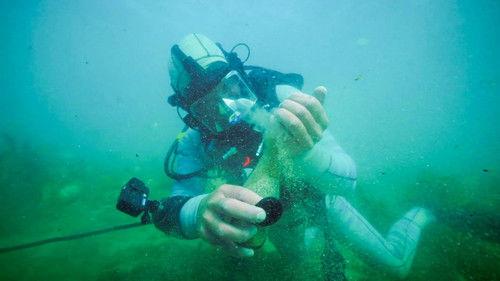 Gold Rush: Parker's Trail Season 5 Episode 8 - Sharks and Gold