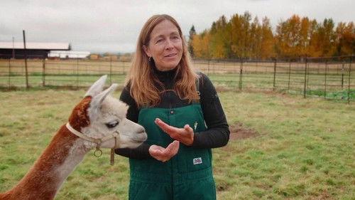 Dr. Oakley, Yukon Vet Season 9 Episode 6 - The Very Hungry Reindeer