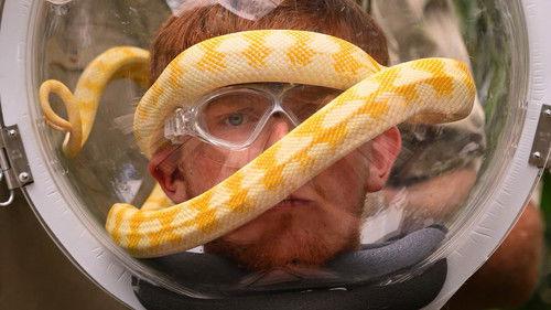 I'm a Celebrity...Get Me Out of Here! Season 25 Episode 22 - Episode 22