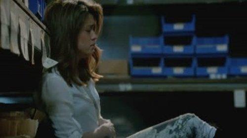 Hawaii Five-0 Season 3 Episode 23 - He Welo ‘Oihana (Family Business)