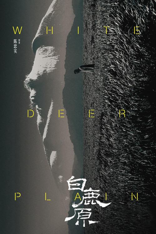 White Deer Plain poster