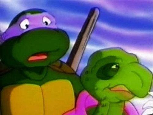 Teenage Mutant Ninja Turtles Season 5 Episode 21 - Planet of the Turtleloids, Part 1