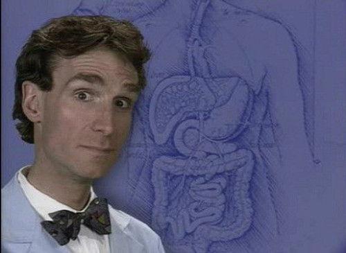 Bill Nye the Science Guy Season 1 Episode 7 - Digestion