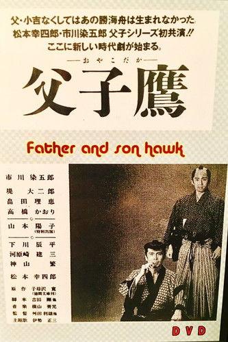Father and Son Hawk poster
