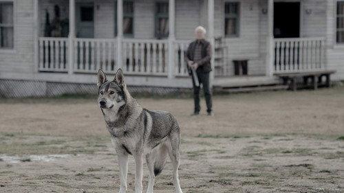 Absentia Season 3 Episode 6 - In Quo Ego Vado Vos