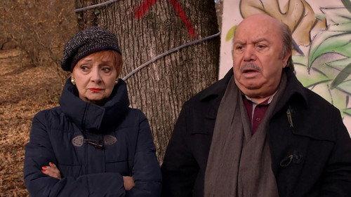 A doctor in the family Season 10 Episode 10 - Save the forest! / Rocco 2 - The return