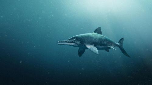 Nature Season 37 Episode 7 - Attenborough and the Sea Dragon