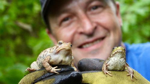 Louis and the Urban Jungle Season 3 Episode 10 - Episode 10