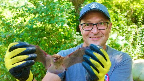 Louis and the Urban Jungle Season 3 Episode 3 - Episode 3