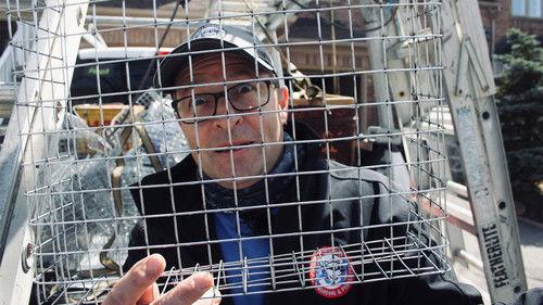 Louis and the Urban Jungle Season 3 Episode 7 - Episode 7